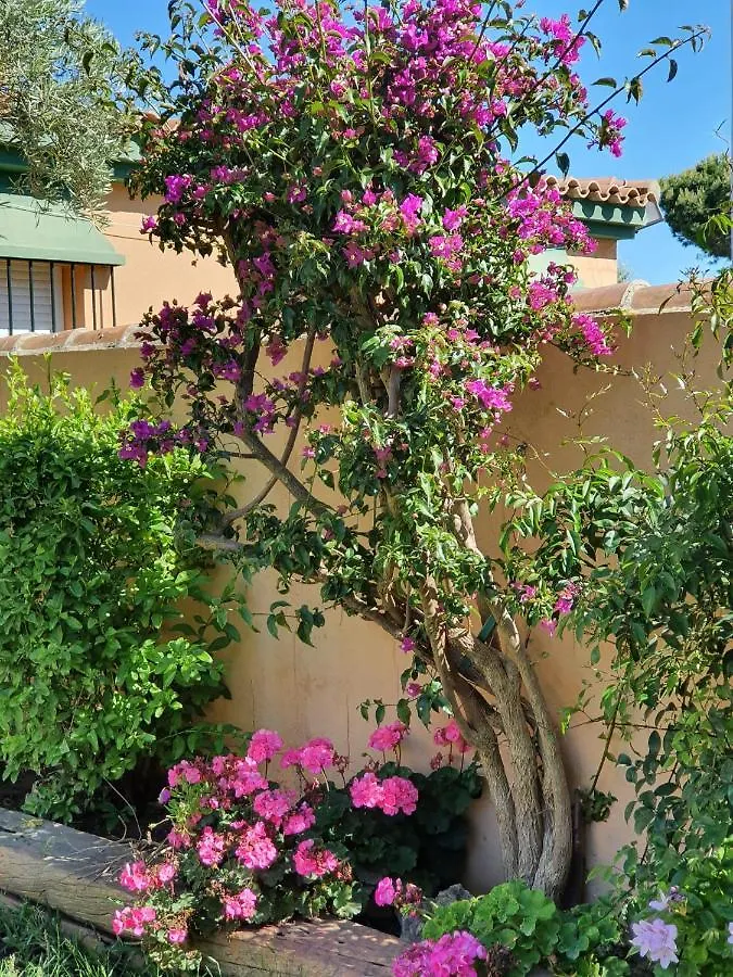 Villa Ostrero Chiclana de la Frontera